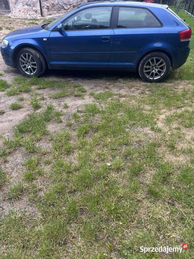 Audi a3 8p 16 mpi Boguchwały