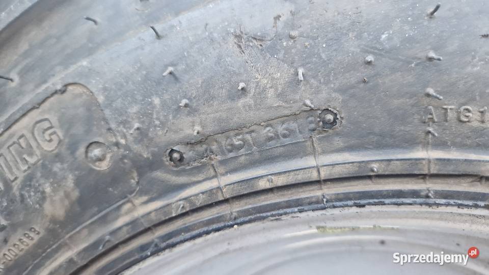 koła 12165 12r165 30570r165 Bobcat 99 12PR 2018R Nowe Miasto Lubawskie