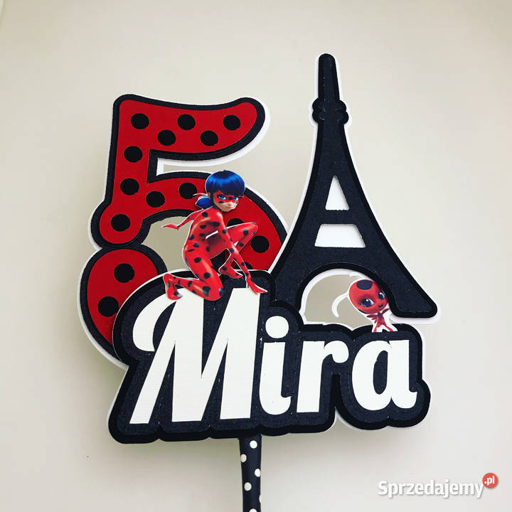 Topper dekoracja na tort Biedronka i czarny kot małopolskie Nowy Sącz