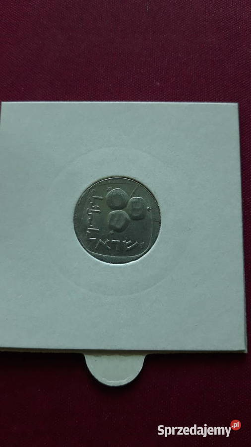 5 Agorot Izrael 1974 r Numizmatyka Konin