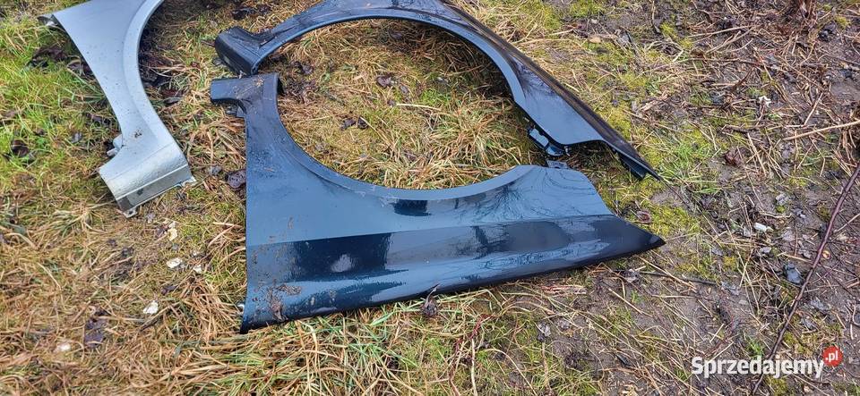 Błotnik Lewy Prawy Renault Laguna 2 ładny stan osobowe małopolskie Żabno sprzedam