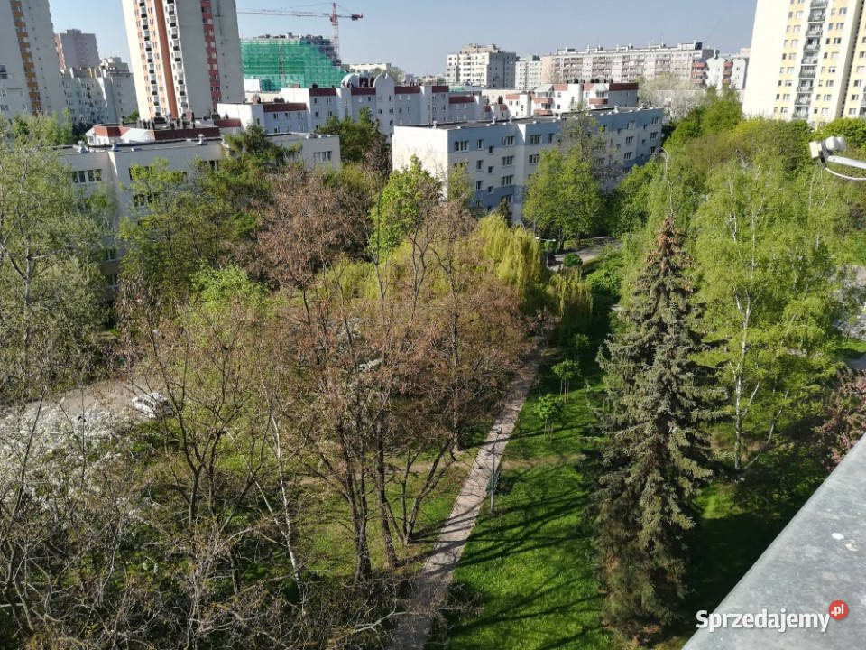 Bezpośrednio 31m2 metrze Wilanowska 3 piętra i więcej sprzedam