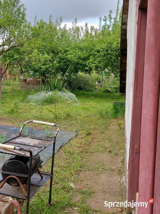 Sprzedam ogródek działkowy 500m2 Rod Maślice Sprzedaż Wrocław sprzedam