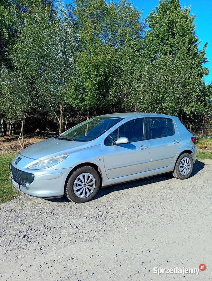 Peugeot 307 16 Mały przebieg