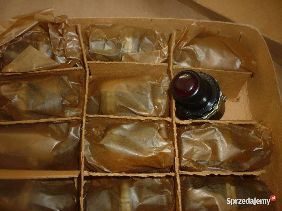 OSŁT37 Czerwona Dębica