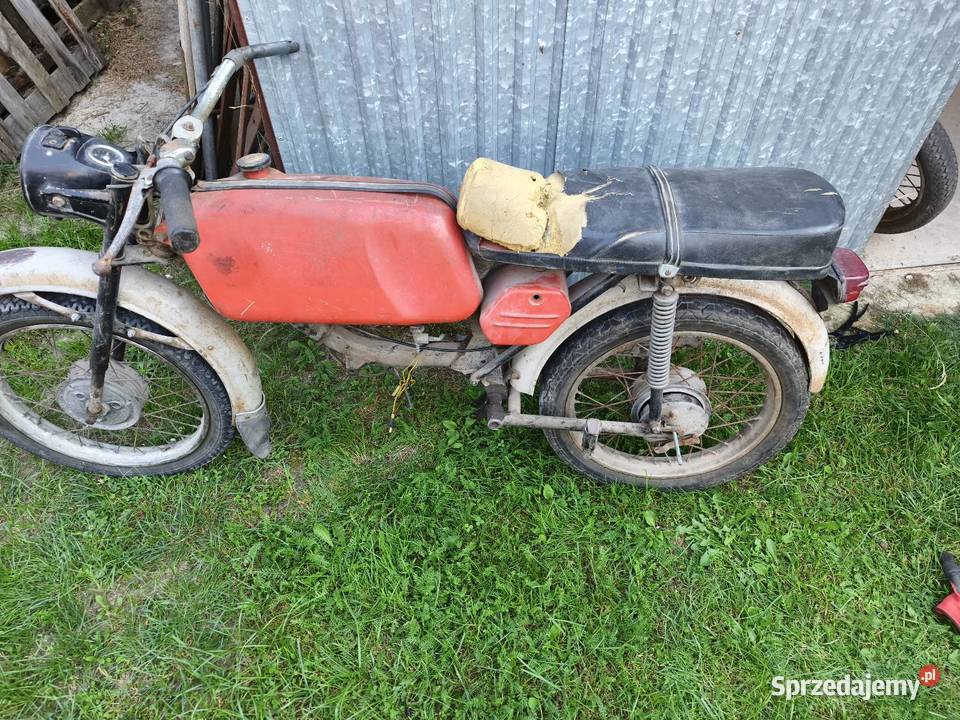 Jawa jawka Łęczna