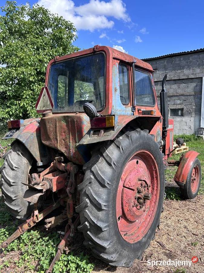 MTZ 50 Kowalewo Pomorskie