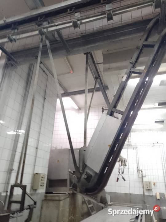 LINIA UBOJU TRZODY CHLEWNEJ Micigózd