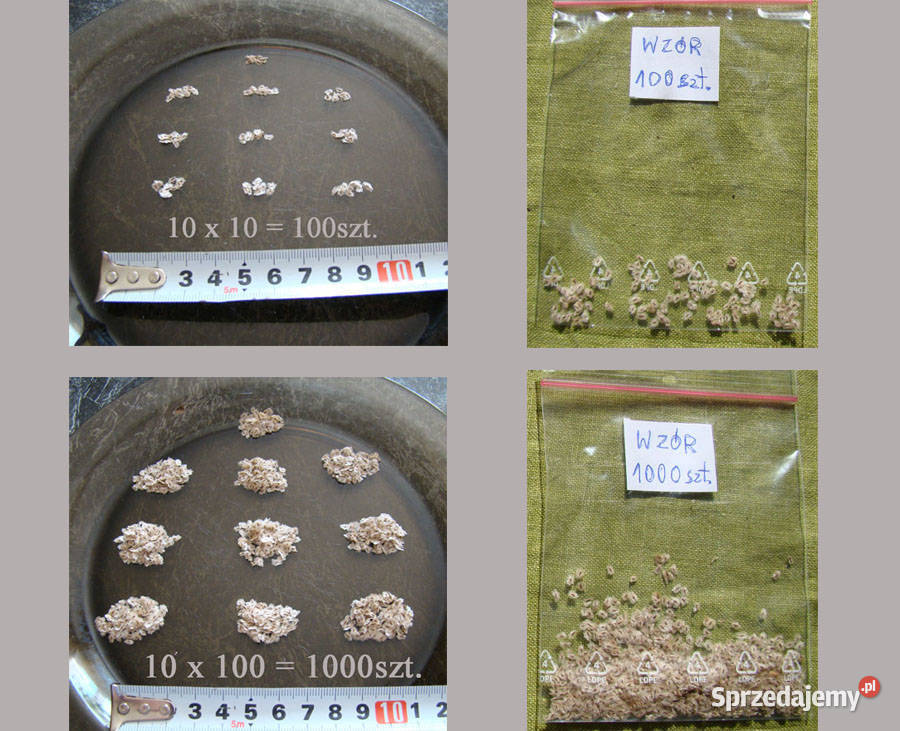 Paulownia nasiona 8001000 Cesarskie drzewko podkarpackie sprzedam