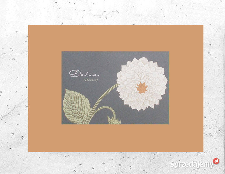 boho plakat A4 vintage plakat 21x30 botaniczny Bydgoszcz