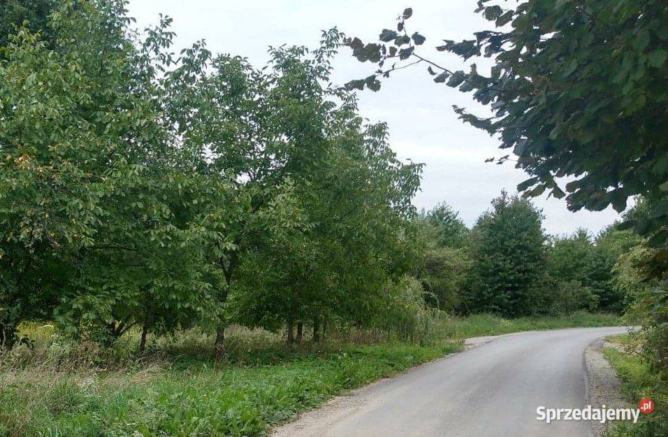 Dom Kontener mieszkalny 60 m2 Biecz