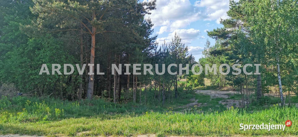 Sprzedaż gruntu 3001m2 Dobrzyniewo Duże Sprzedaż