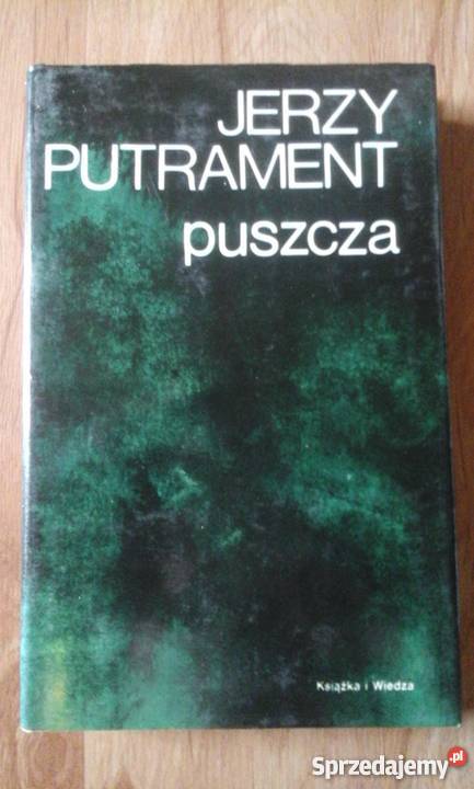 Jezry Putrament Pisma 2 3 4 5 6 7 9 10 Rok wydania 1980 Gliwice