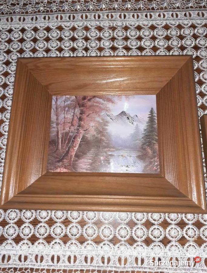 Obrazy natura 3 D w szerokiej stylowej i Sosnowiec sprzedam