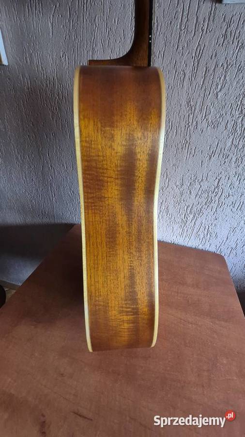 Japońska gitara akustyczna Ibanez Performance Wrocław