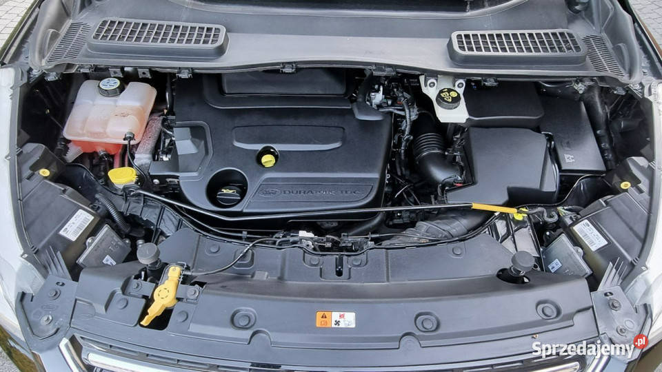 Ford Kuga Automat 4x4 LedXenon 163 GWARANCJA wielofunkcyjna kierownica Płońsk