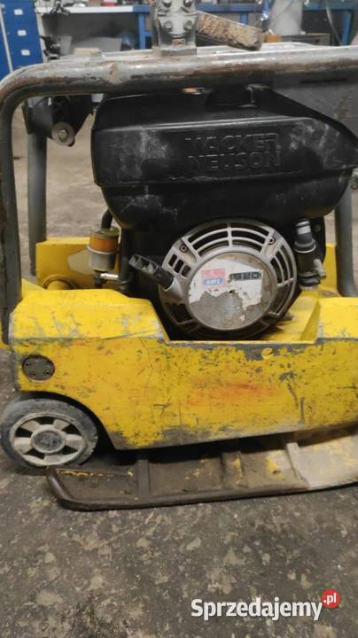 Zagęszczarka Neuson 2014 Grudziądz