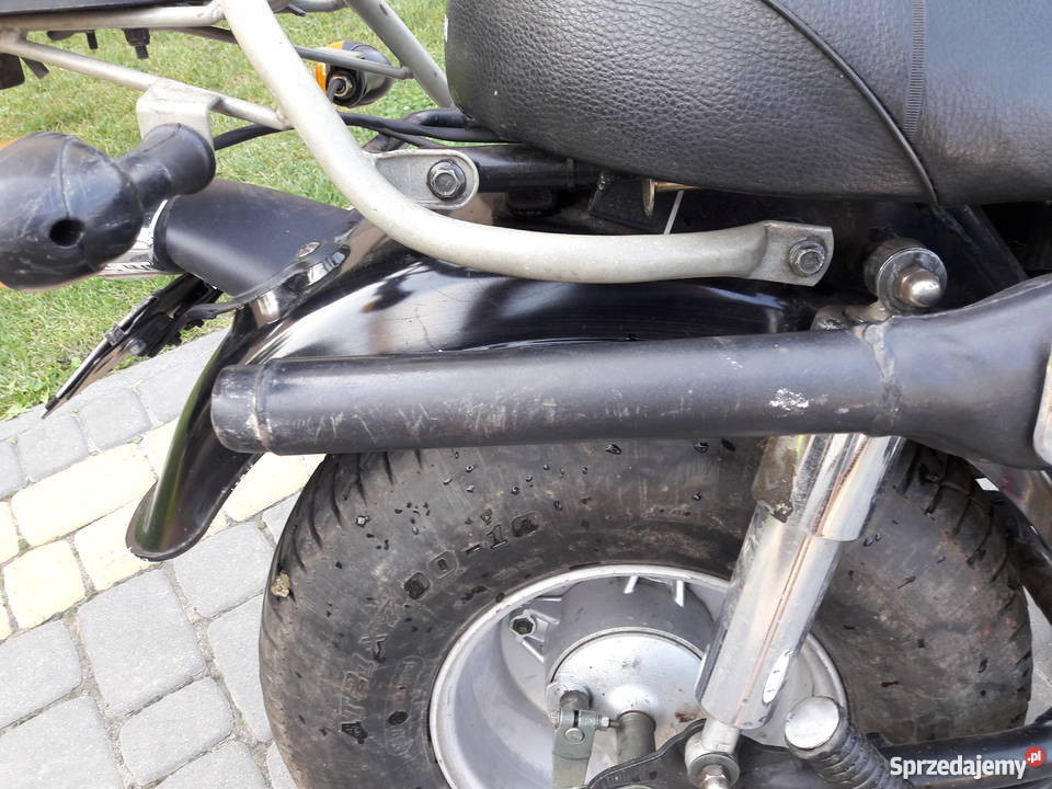 Skyteam TREX 50110 cruiser