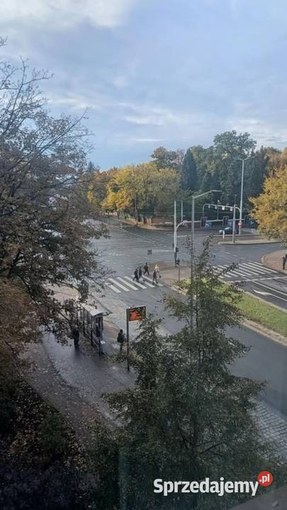 2pok 37met Ogrodu Botanicznego WINDA ZARAZ Wrocław sprzedam