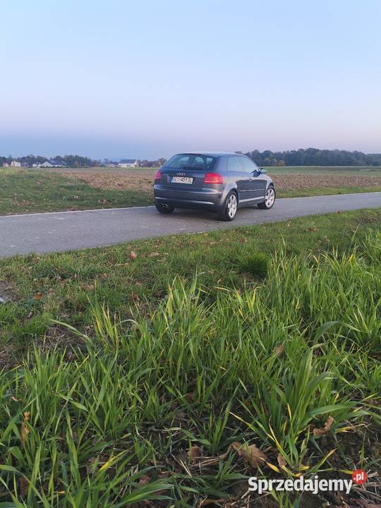 Audi A3 8p szary A3 śląskie Zbytków