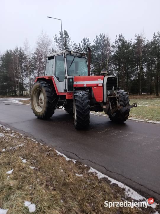 Massey Ferguson 699 wielkopolskie Radyczyny