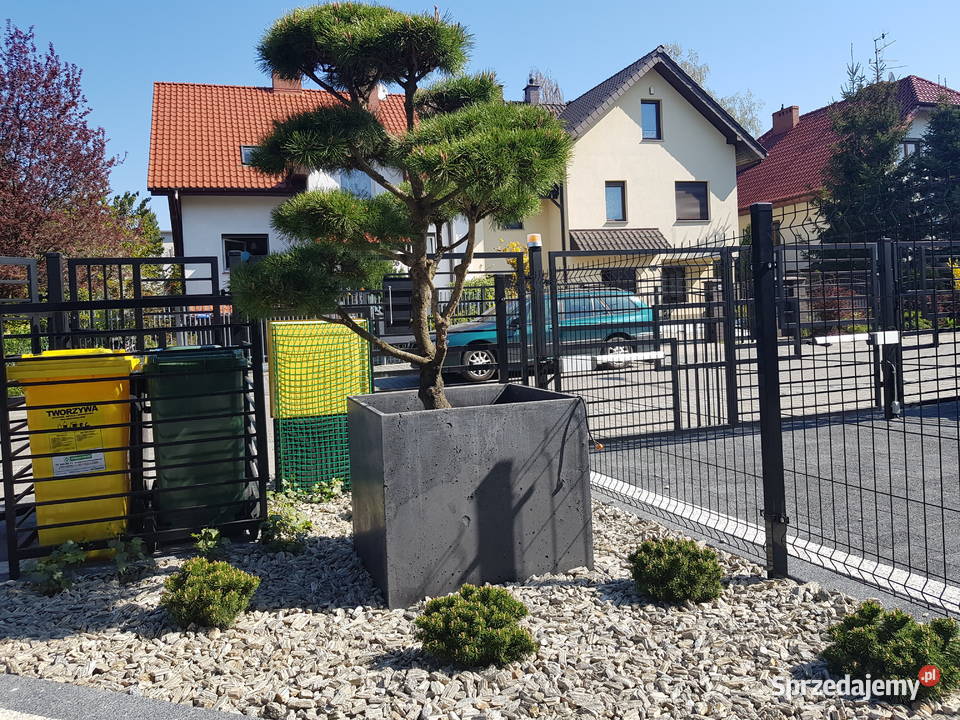 Donica betonowa Box 50x50x50 Impregnacja różne wielkopolskie Rawicz