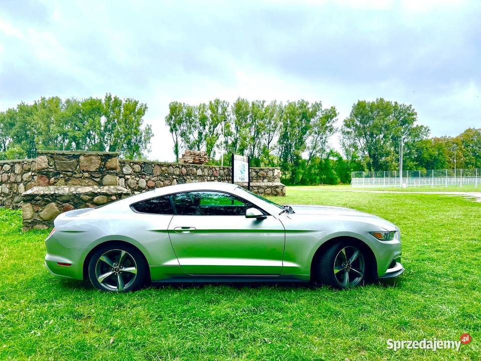 Mustang 37 2016 łódzkie Skierniewice