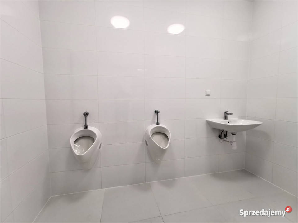 Hala do wynajęcia Katowice A4 z biurami i