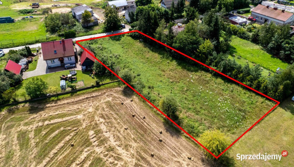 Duża działka Puszczy Zielonce