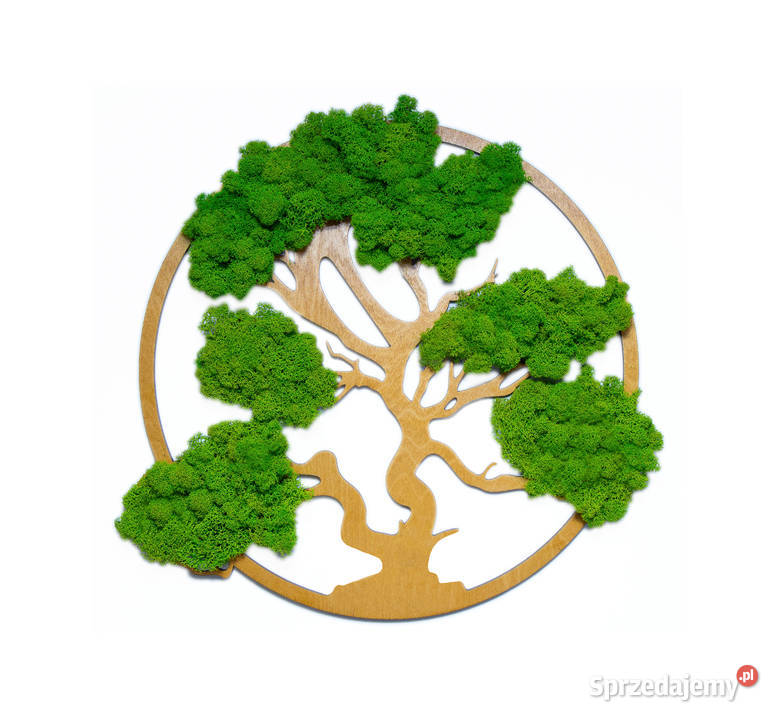 Drzewo Życia Szczęścia Bonsai Mech Chrobotek 30 Dom i Ogród Kłomnice