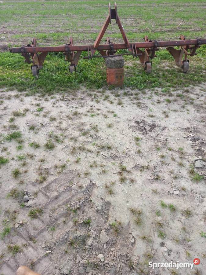 Obsypnik do ziemniaków wielkopolskie Śrem
