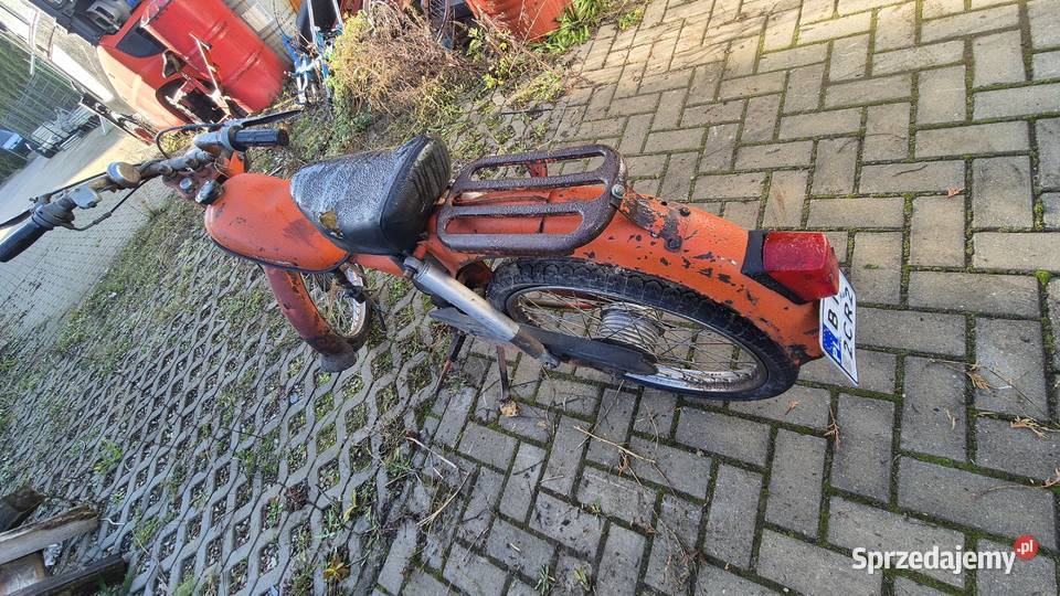 Komar zarejestrowany