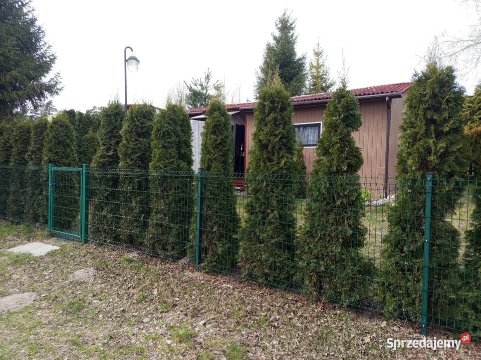 Domek Letniskowy jeziorem Czarne rekreacyjna Gajewo
