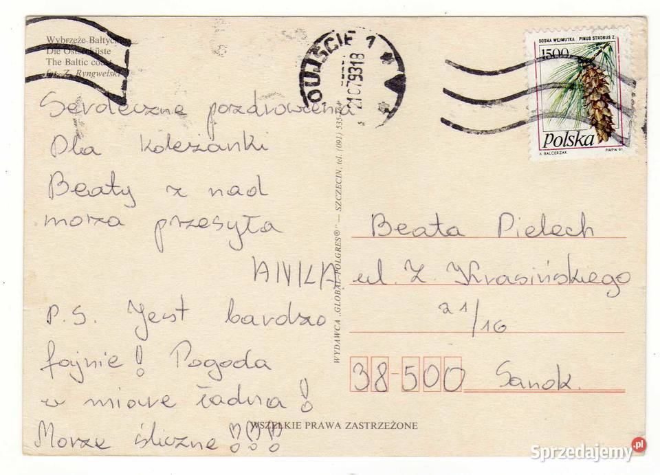 MORZE BAŁTYCKIE BAŁTYK WYBRZEŻE BAŁTYKU 1 Krynki