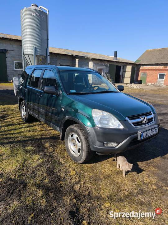 Honda CRV Honda CRV 2004 20 BG z hakiem lubelskie Dołhobrody