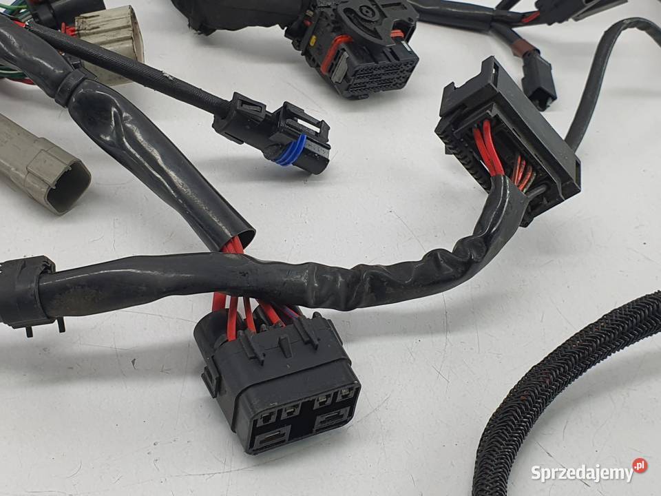 Wiazka Instalacja Wtyczka Harley Davidson Łódź