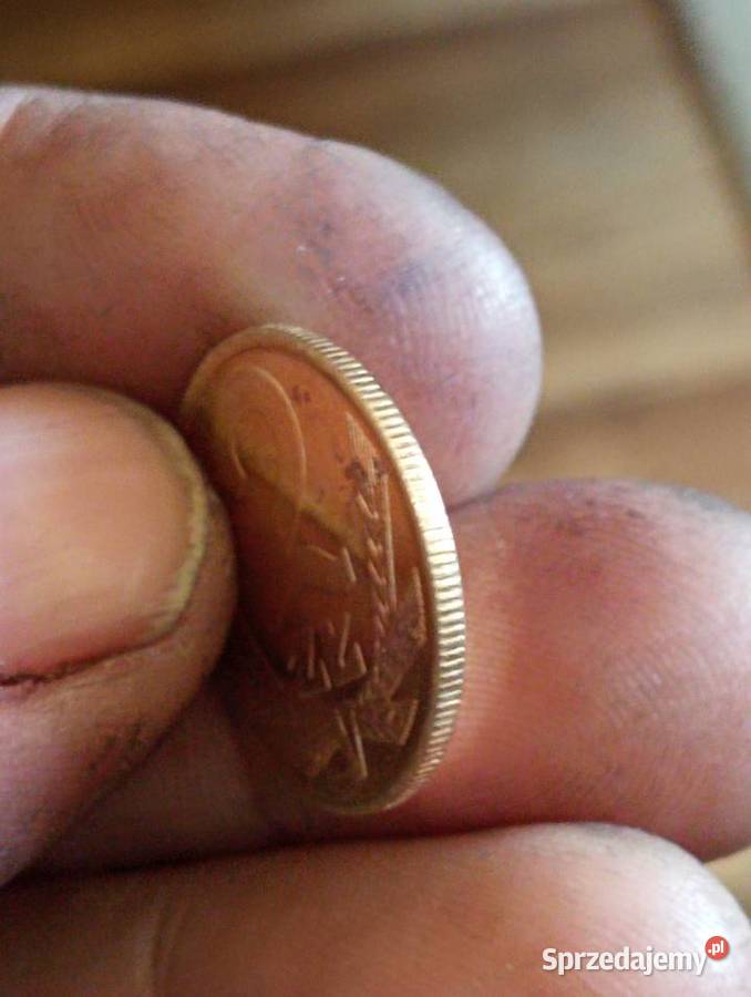 sprzedam monete 2 zl 1982 mosiadz Chełm