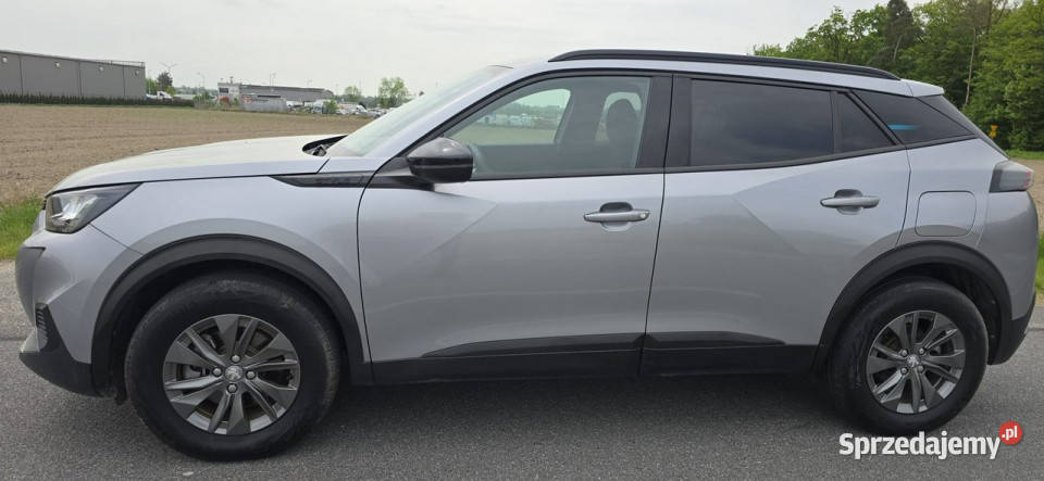 Peugeot 2008 2008 8 II 2019 Pleszew