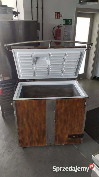 Zamrażalka skrzyniowa Tefcold FR305I Kazuń Polski