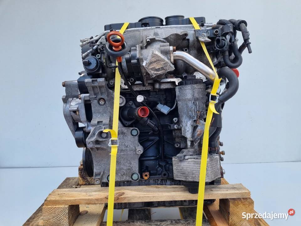 SILNIK KOMPLET Audi A3 II 8P 20 TDI 170 143 BMN Janów