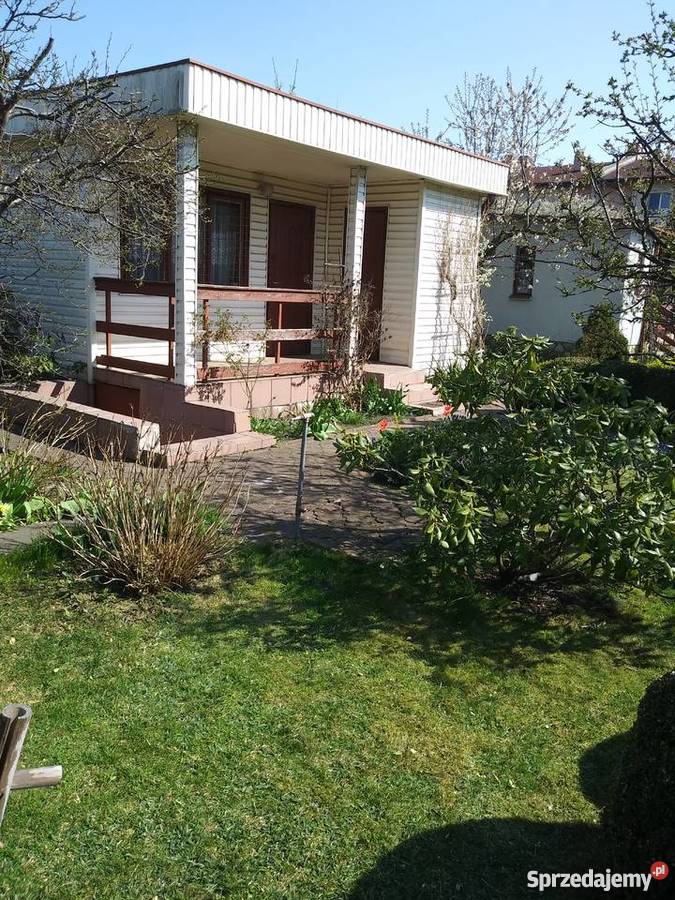 działka ROD Pigwa Łódź