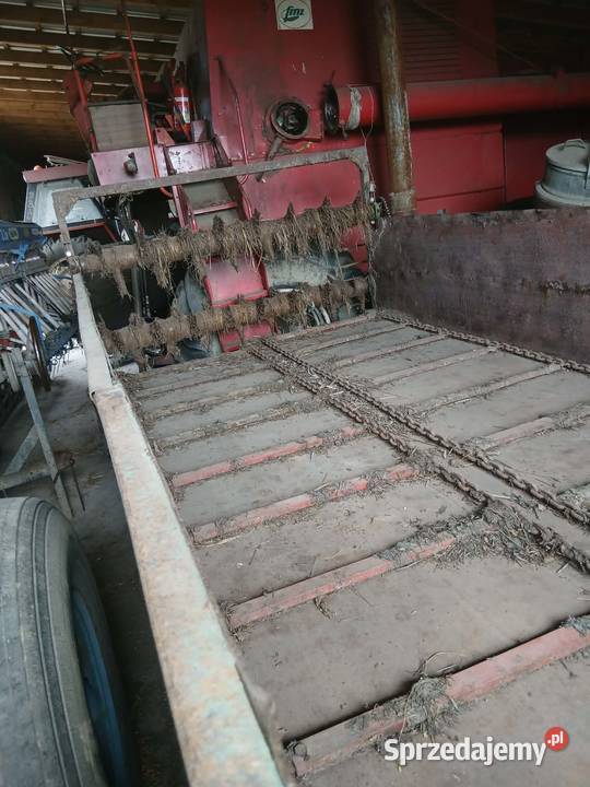 Rozrzutnik Pozostałe Zygry