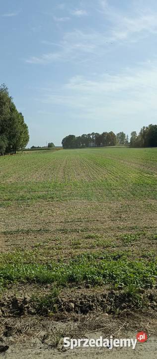 Działka budowlana Zofiówka