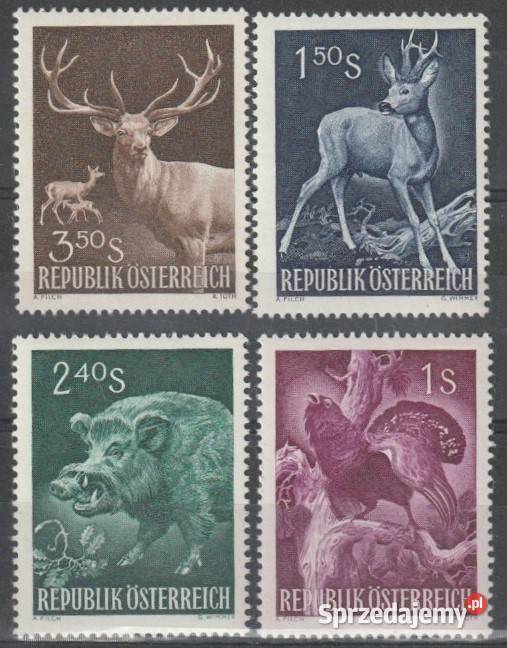 AUSTRIA ZWIERZYNA LEŚNA CZYSTE Łódź