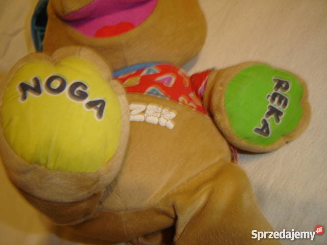 Piesek szczeniaczek uczniaczek Fisher polski sprzedam