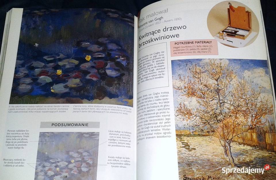 Malarstwo olejne początkujących Francisco A Pozostałe Książki i Podręczniki