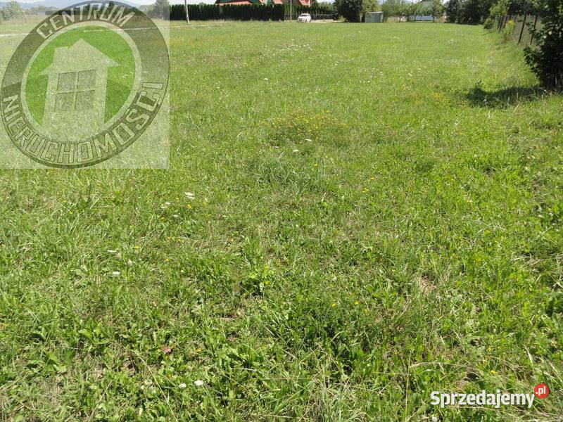 Działka Brzezna 1000m