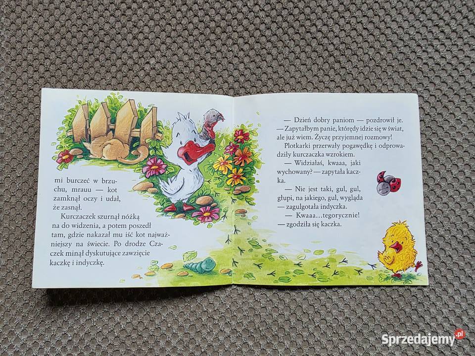 Kurczaczek Czaczek Mariusz Niemycki Kraków