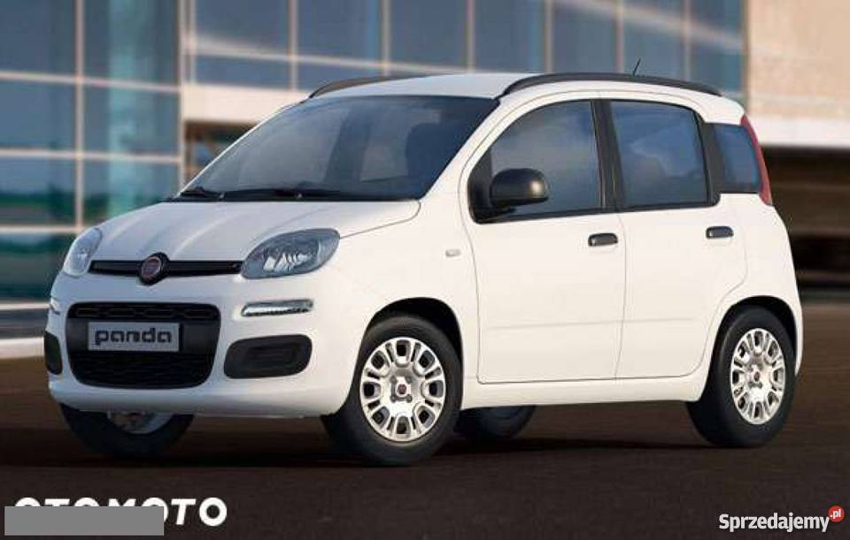 Fiat Panda bialy Tarnowskie Góry