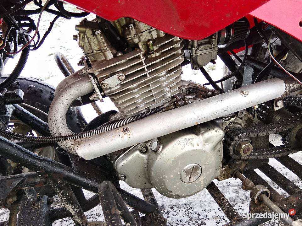 Sprzedam Zamienię guada łańcuch Motoryzacja śląskie Kłomnice